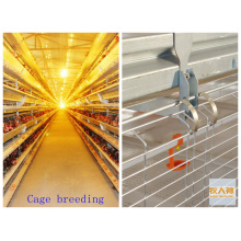 Poultry Equipment in Livestock with High Quality and Low Price